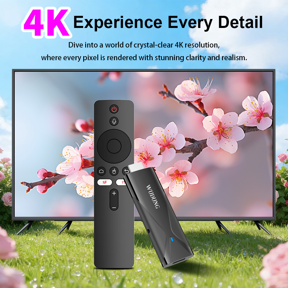 Netflix Home Cinema - WD08 PRO TV Dongle Android 10
