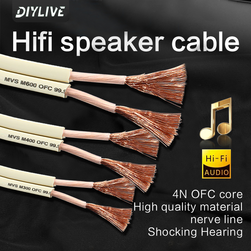 Cabo de Áudio HIFI DIYLIVE par - Home Cinema Xlr avaliação e preço