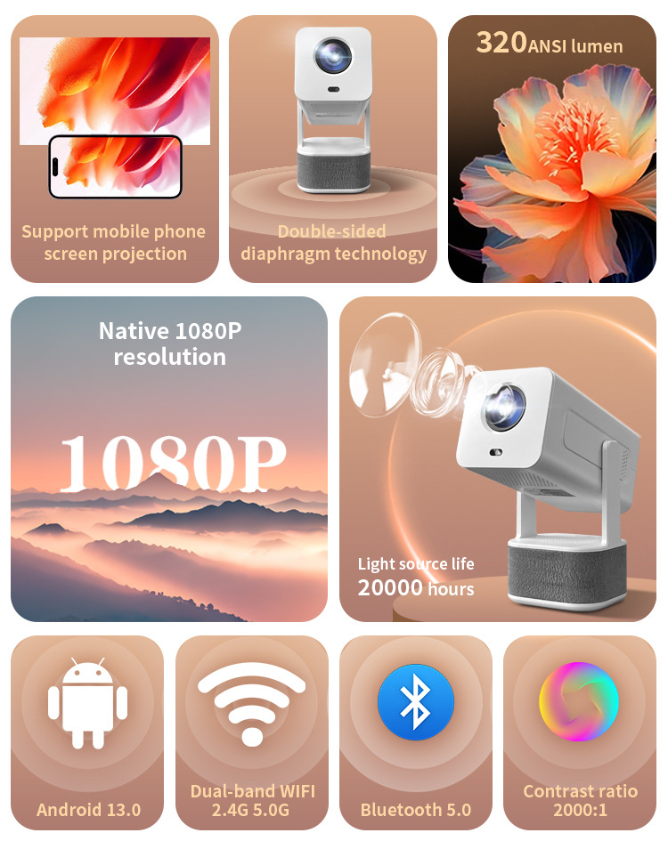 Projetor de karaokê ao ar livr - Home Cinema Karaoke Projector avaliação e preço